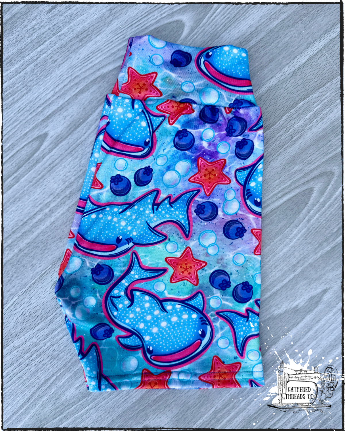 Whale Shark Tale Bikers & Colorblock Lounge