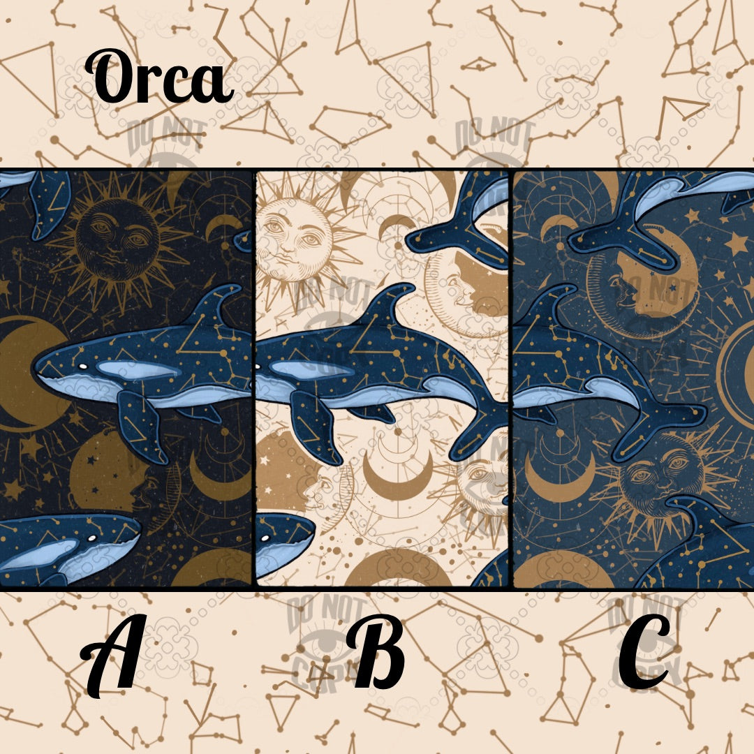 Sealestial Paperbag Pants